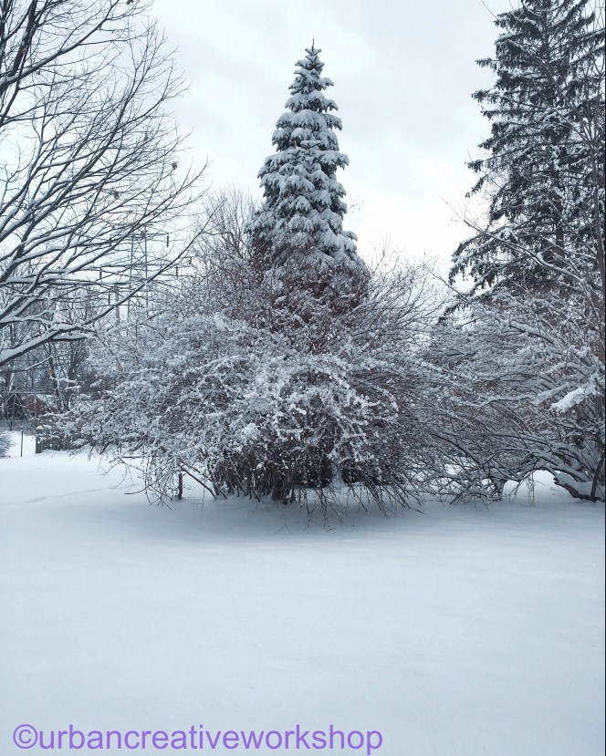 File 01-04-2016, 16 04 51