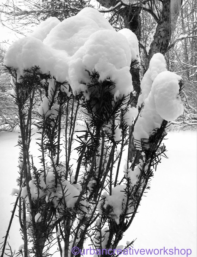 File 01-04-2016, 16 05 24