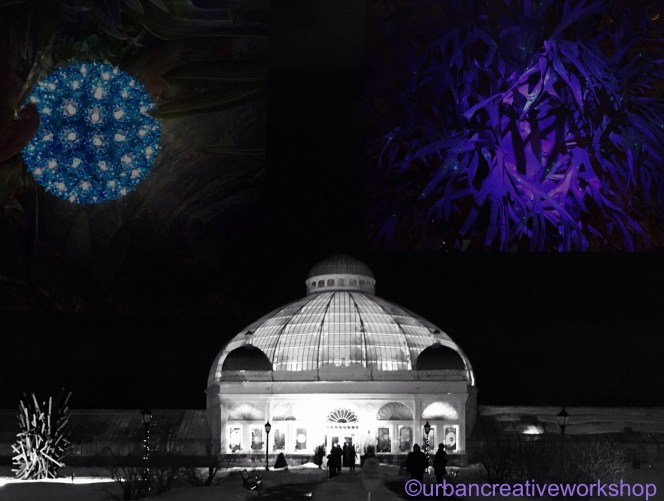 File 21-03-2016, 09 31 52.jpeg