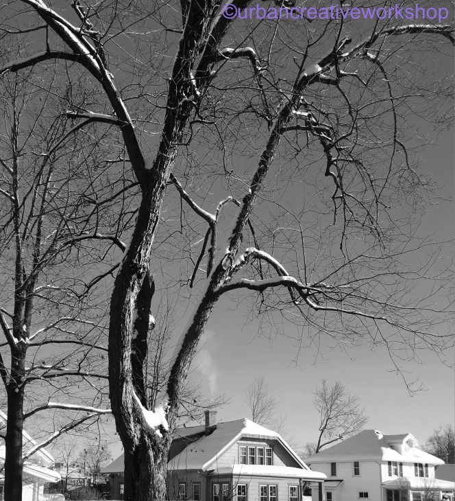 File 30-08-2017, 15 48 10