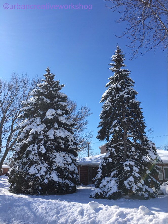 File 30-08-2017, 15 49 04